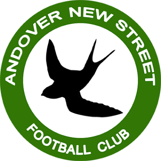 Andover New Street FC badge